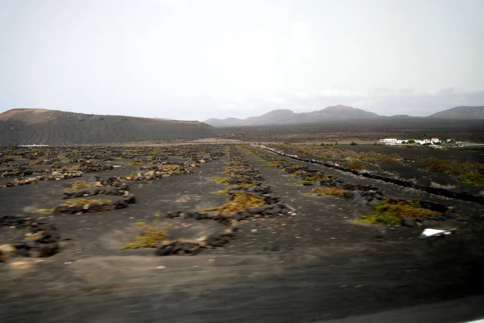 P1000843 960x640